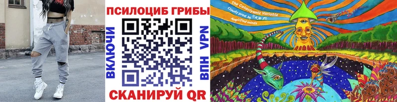 закладка  Терек  Псилоцибиновые грибы MAGIC MUSHROOMS 